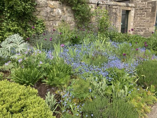 art of gardens Edinburgh Modern 1