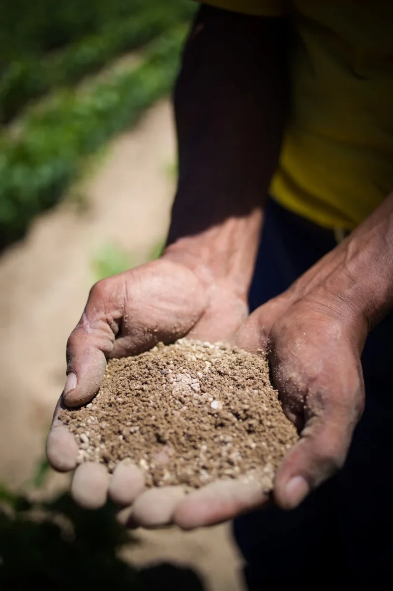 improve garden soil