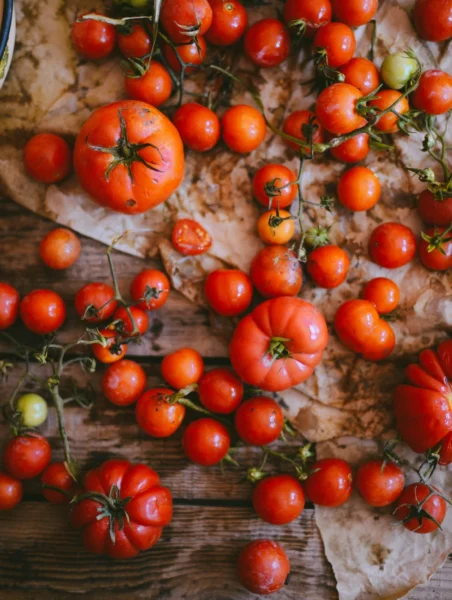 planting tomatoes